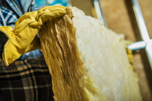 Best Spray Foam Insulation  in Keaau, HI