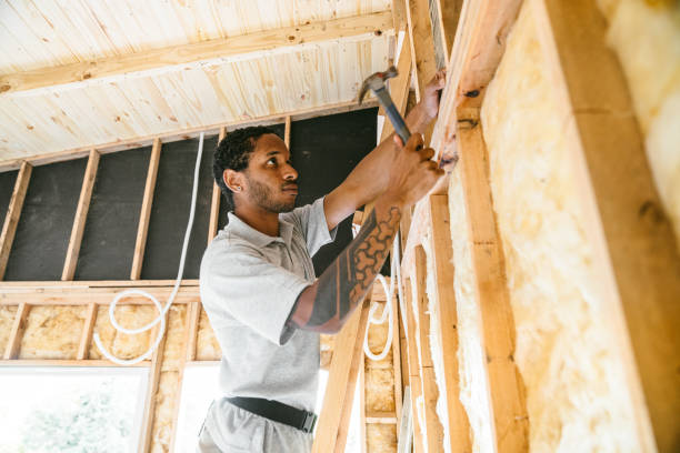 Best Insulation Removal  in Keaau, HI