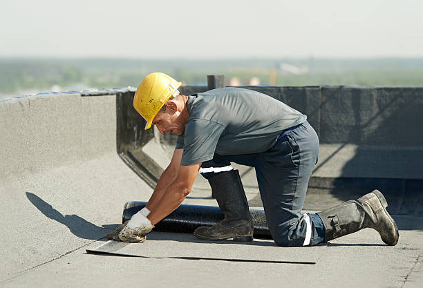 Best Insulation Contractor Near Me  in Keaau, HI